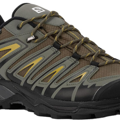 Salomon Men's X Ultra Pioneer Climasalomon Waterproof Trail Running Shoe