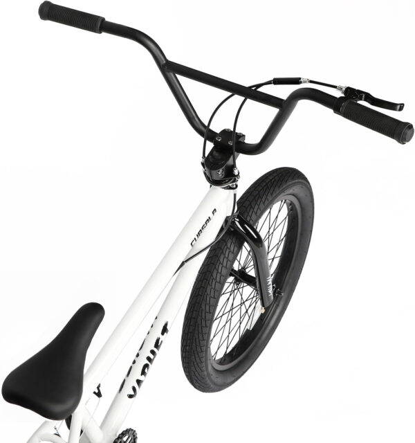 Freestyle BMX Bike, 20 Inch Yaphet Bicycle for Teen Beginner and Adult Riders, Bike with Hi-Ten Steel Frame, Multiple Colors