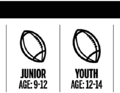 689a3de670e20f5297f40e86d276e480b84e7fb8b1bb859a0cf63.jpg WILSON NFL Super Grip Composite Footballs