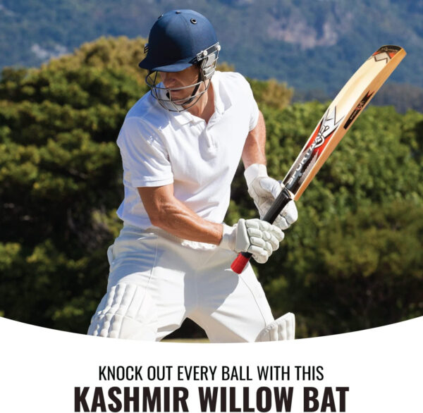 SPORTAXIS Wooden Kashmir Willow Cricket Bat with a Foam-Padded Bag- Strong, Lightweight, Ideal Training/Practice for Home/Club Play/Beach/Backyard Cricket