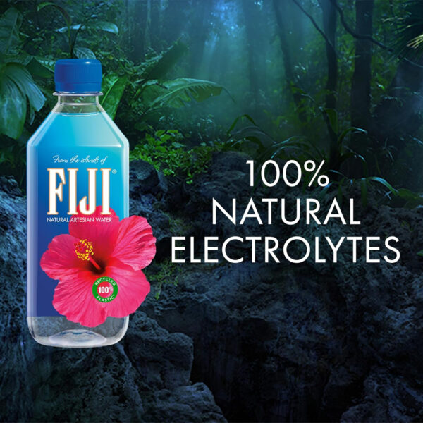 689acde8d85a15a2d1cf5ffe07e36273038f27066b4c423a89216.jpg FIJI Natural Artesian Bottled Water 500 mL / 16.9 Fl Ounce (Pack of 12) - 100% Recycled Plastic