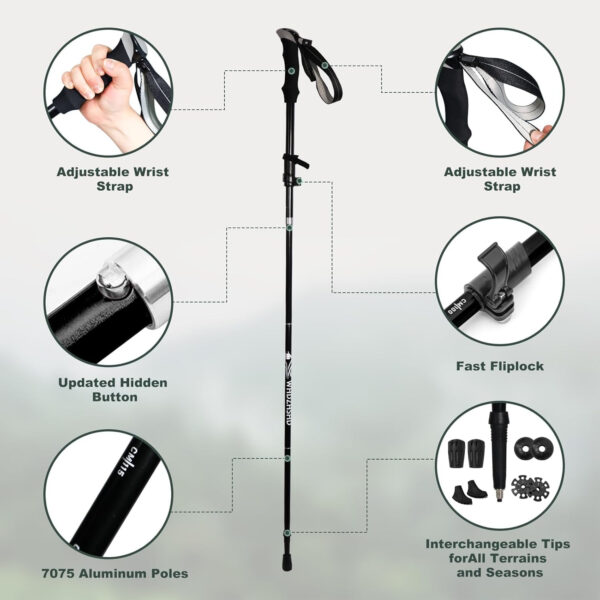 Collapsible Trekking Poles for Hiking - Lightweight Aluminum Walking Sticks with Adjustable Locks, Extendable to 51 Inches (Set of 2)
