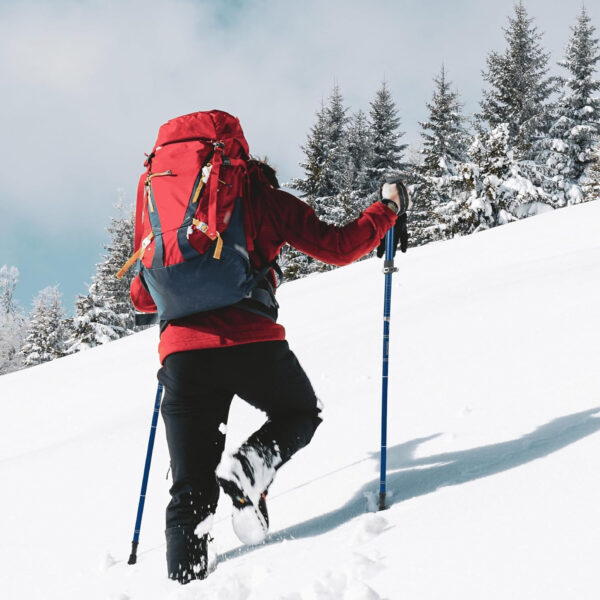 689ad5f5be52c964cdc6753f0f68fc036cfcdf52429698cf761ea.jpg TREKOLOGY Trekking Poles – Lightweight, Adjustable Hiking Sticks for Men & Women – Durable Aluminum, Compact & Foldable with Comfortable Grip – Perfect for Hiking, Walking & Seniors, TREKZ XE