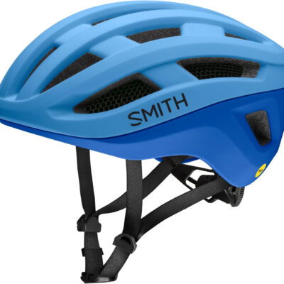 Smith Persist MIPS
