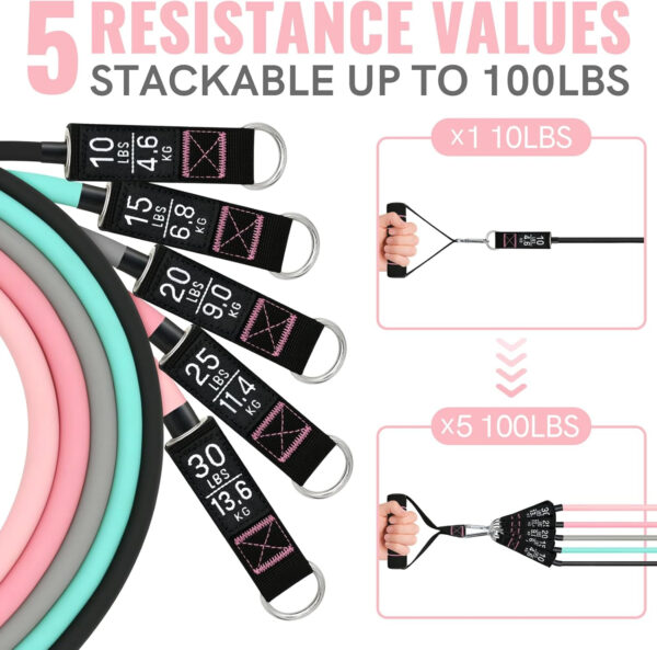 Aihoye Resistance Bands for Working Out, Exercise Bands with Handles, Stretch Bands for Exercise, Workout Bands with Door Anchors for Physical Therapy & Strength Training