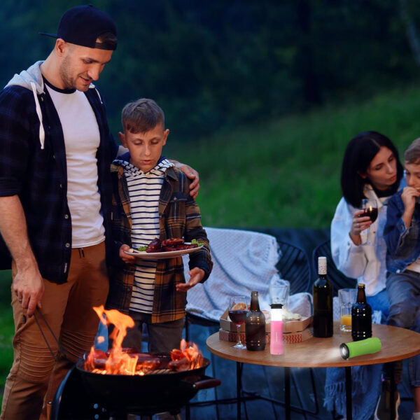 689b88e64135c3314214df49b88801917f329dd3cfc62da35fab7.jpg EverBrite 2-in-1 Mini Lanterns and Flashlights with 3 Modes, 2 Pack Portable Outdoor LED Zoomable Torches, Camping Essentials for Hurricane, Hiking, Night Walking, Emergency