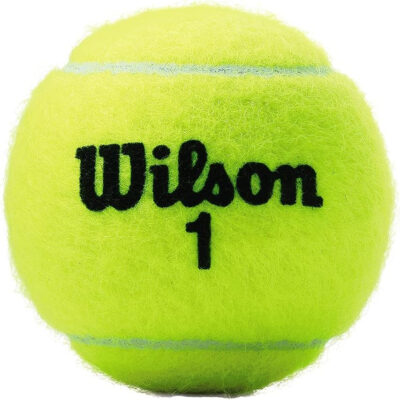 689bfe618f44359674506b032466b875425f298998999d19b12c9.jpg WILSON Championship Tennis Balls
