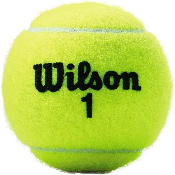 689bfe618f44359674506b032466b875425f298998999d19b12c9.jpg WILSON Championship Tennis Balls