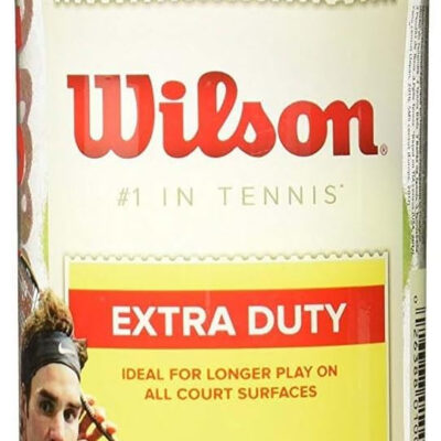 689bfe69975ee7e78b4b124644ae1ce5a76f09e4bb401b7cc4d25.jpg WILSON Championship Tennis Balls