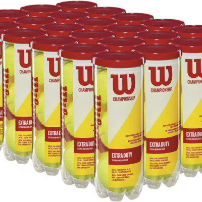 689bfe6b76598be317cb2c1e911bdb1eaeb8ecddd6fdbe8e6c1a5.jpg WILSON Championship Tennis Balls