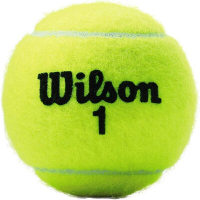 689bfe6dd6d4330b7760986bb1bf7061c837b6954d9ed296e6fd1.jpg WILSON Championship Tennis Balls