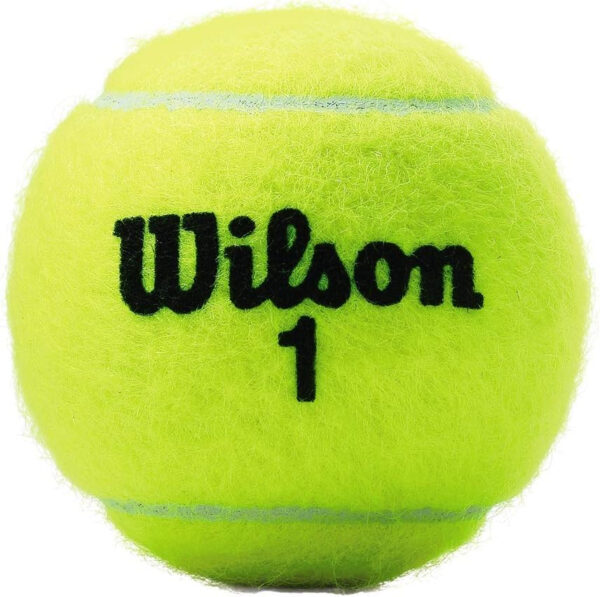 689bfe6dd6d4330b7760986bb1bf7061c837b6954d9ed296e6fd1.jpg WILSON Championship Tennis Balls