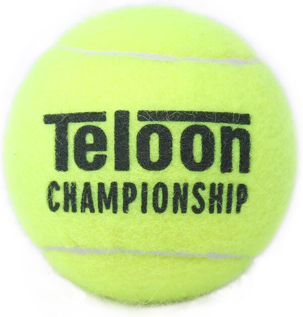 689bfe844410e61af82970165842aa87ff8d8250c7c645cbb0784.jpg Teloon Championship Tennis Balls - Extra Duty - Regular Duty Felt Pressurized Tennis Balls