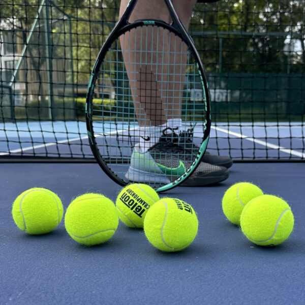 689bfe8a18a435784a05f4bc13a3c09498387284bea7ad9dc8518.jpg Teloon Championship Tennis Balls - Extra Duty - Regular Duty Felt Pressurized Tennis Balls