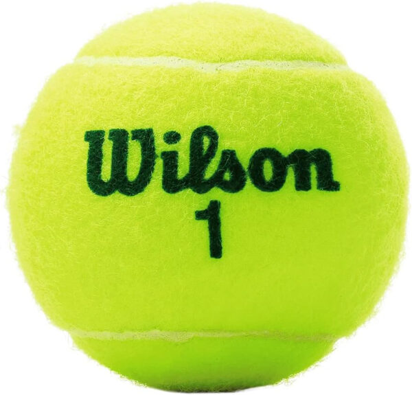 689bfed7b257935fba33931731f4fd7e7e10985f90b0bae50b536.jpg WILSON US Open Youth Tennis Balls - 3 Balls