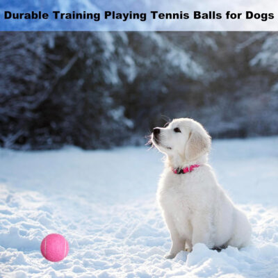 689bfef73f89114564149ddd76a213a1372b87ee8e1a4423f6bf8.jpg Tennis Balls, 4 Pack Advanced Practice Tennis Balls for Beginner, Training Playing Tennis Balls