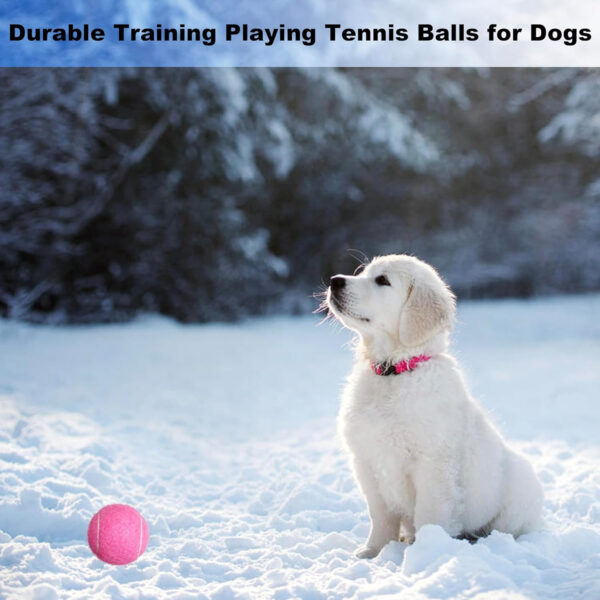 689bfef73f89114564149ddd76a213a1372b87ee8e1a4423f6bf8.jpg Tennis Balls, 4 Pack Advanced Practice Tennis Balls for Beginner, Training Playing Tennis Balls
