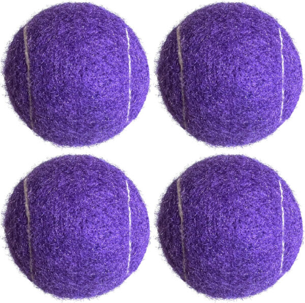 689bff0924c50165a6b805a2488adeb8e3de2d265c2569bcdff01.jpg Tennis Balls, 4 Pack Advanced Practice Tennis Balls for Beginner, Training Playing Tennis Balls