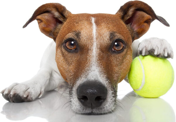 VIV Advanced Tennis Balls Bulk, 30/50/100 + Practice Pressure Ball Bouncing 53in High Durable Official Size 2.5 in Pet Dog Balls Tougher Tennis Ball for Dogs, Tennis Ball Training Machine, Walkers