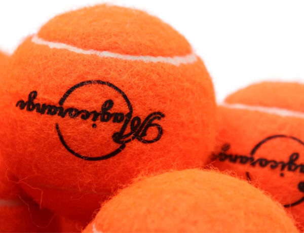 689c006a25cd2bd4b4f9ed7e664c9fa10d34b41799a8be14a2d5d.jpg Magicorange Tennis Balls, 12 Pack Advanced Training Tennis Balls Practice Balls, Come with Mesh Bag for Easy Transport, Good for Beginner Training Ball