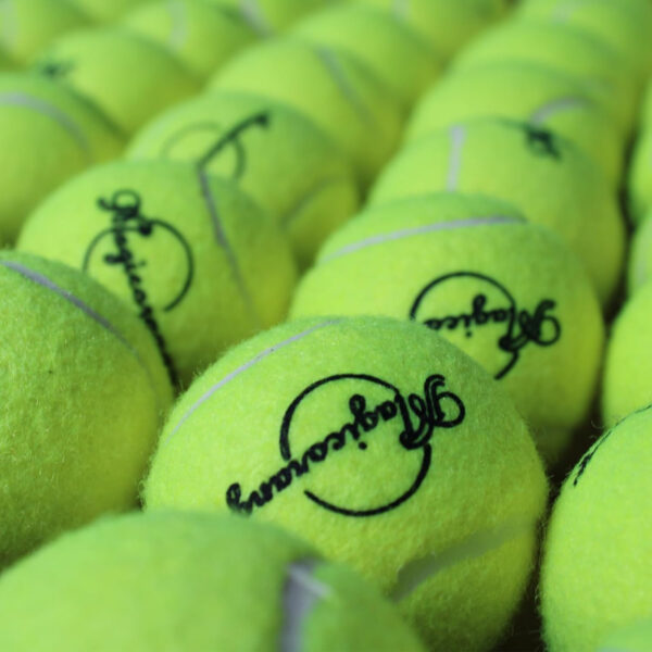 689c0170976a0481e8ba2b33f736ec276a725e4aebae72ff2e467.jpg Magicorange Tennis Balls, 60 Pack Advanced Training Tennis Balls Practice Ball, Pet Dog Playing Balls,Good for Beginner Training Ball