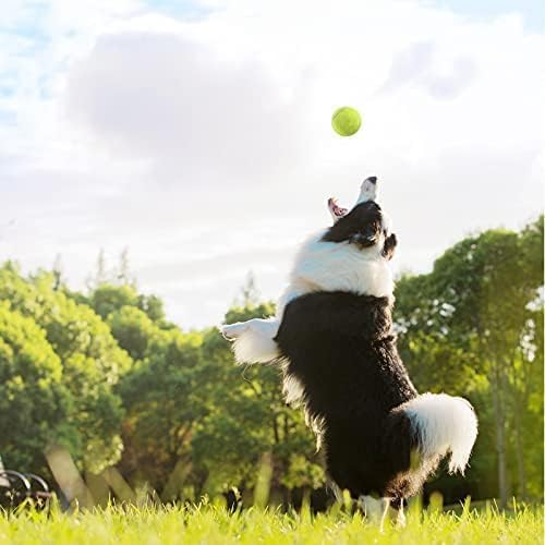 689c017733cc3ab3f28f2055509096f3dc18a08c7582d25de8dec.jpg Magicorange Tennis Balls, 60 Pack Advanced Training Tennis Balls Practice Ball, Pet Dog Playing Balls,Good for Beginner Training Ball