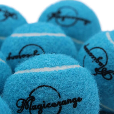 689c01918c4b49e36a0d1ceb7e559b42e64fff9fee0f0f3919141.jpg Magicorange Tennis Balls, 60 Pack Advanced Training Tennis Balls Practice Ball, Pet Dog Playing Balls,Good for Beginner Training Ball