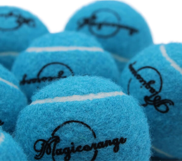 689c01918c4b49e36a0d1ceb7e559b42e64fff9fee0f0f3919141.jpg Magicorange Tennis Balls, 60 Pack Advanced Training Tennis Balls Practice Ball, Pet Dog Playing Balls,Good for Beginner Training Ball