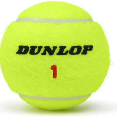 689c026f82e23dd1b333f99764ba28ce13ed5163659dfa6b5e6fe.jpg Dunlop ATP Championship Tennis Balls