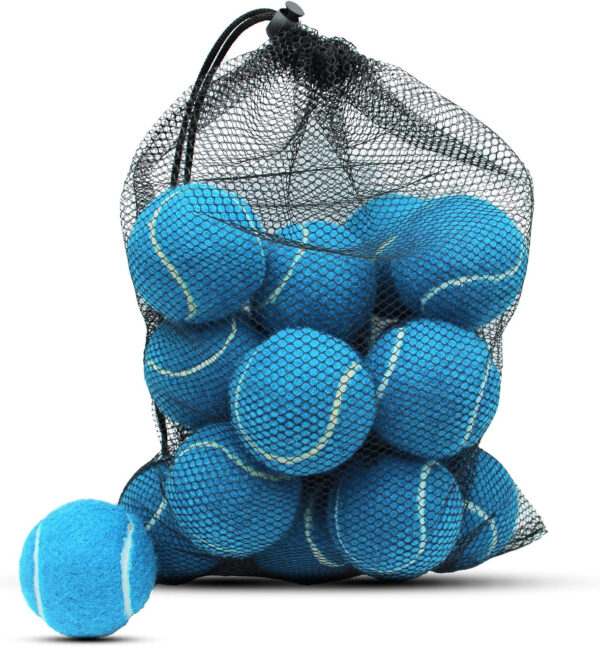 Tennis Balls, 18 Pack Training Tennis Balls Practice Balls with Mesh Bag for Easy Transport, Pet Dog Playing Balls, fit for Beginner Training Ball