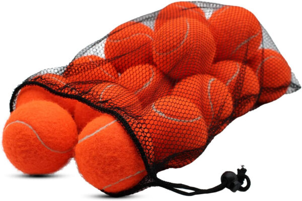 Tennis Balls, 18 Pack Training Tennis Balls Practice Balls with Mesh Bag for Easy Transport, Pet Dog Playing Balls, fit for Beginner Training Ball
