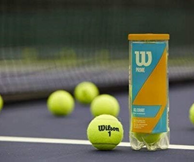 689c04096ffdcf35af4e1951113256d29ed6e5b7545d1eae80d4b.jpg Wilson Prime All Court Tennis Ball