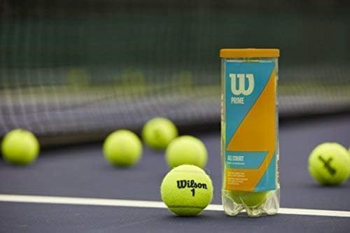 689c04096ffdcf35af4e1951113256d29ed6e5b7545d1eae80d4b.jpg Wilson Prime All Court Tennis Ball