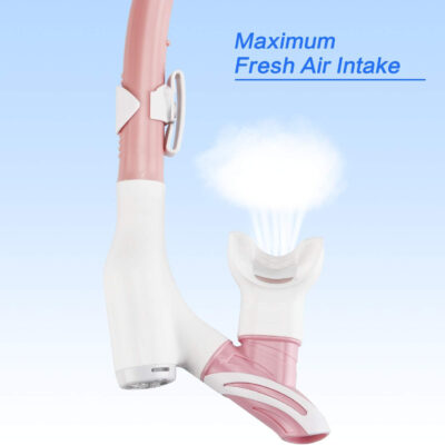 Snorkel Set, Anti-Fog Panoramic View Snorkel Mask and Anti-Leak Dry Snorkel Tube, Snorkeling Gear for Adults, Snorkel Kit Bag Included