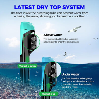 689c314dc4739971032ebc08d5b9ce4a2710dbc2ff4f72f8f5c84.jpg Full Face Snorkel Mask for Adults, Snorkeling Gear for Kids, Anti-Fog & Anti-Leak Design with 180° Panoramic View, Dry Top Breathing System, Ideal for Scuba Diving, Snorkeling