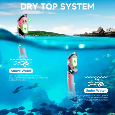 689c31fa9f203b4373b81e3809e42e1b12d0af4087298cb3c0afe.jpg Snorkeling Gear for Adults, Dry-Top Snorkel Set Scuba Diving mask, 180°Panoramic Wide View Professional Snorkeling Gear Breathing Freely Snorkel Mask