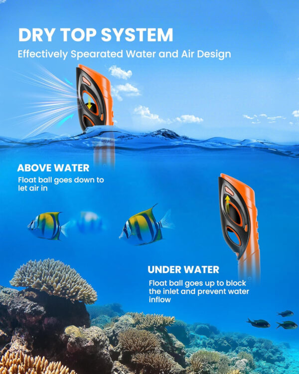 OutdoorMaster Mobula Snorkeling Gear for Adults, Diving Mask and Snorkel Set with Tempered Glass Anti-Fog, TOP Dry Snorkel for Diving Snorkeling Swimming