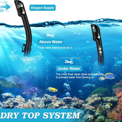Snorkeling Gear for Adults, Dry Top Snorkel Mask Set 2 Pack Scuba Diving Mask Snorkel Gear Anti Fog Snorkeling Packages Tempered Glass Panoramic View Nose Cover