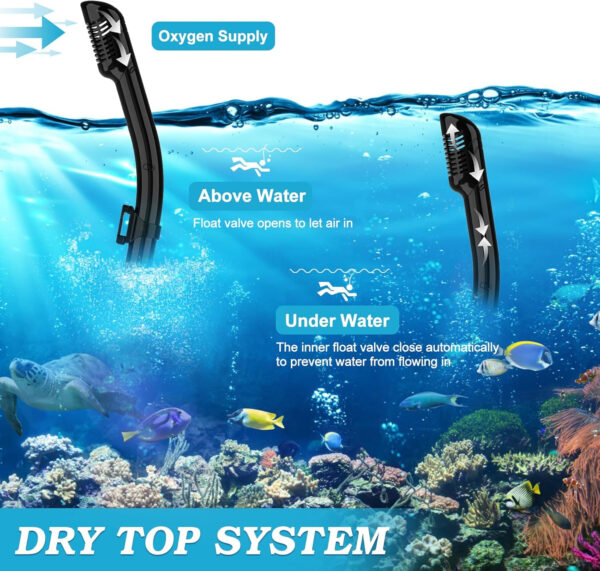 Snorkeling Gear for Adults, Dry Top Snorkel Mask Set 2 Pack Scuba Diving Mask Snorkel Gear Anti Fog Snorkeling Packages Tempered Glass Panoramic View Nose Cover