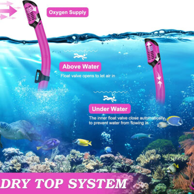 Snorkeling Gear for Adults, Dry Top Snorkel Mask Set 2 Pack Scuba Diving Mask Snorkel Gear Anti Fog Snorkeling Packages Tempered Glass Panoramic View Nose Cover
