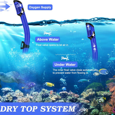 Snorkeling Gear for Adults, Dry Top Snorkel Mask Set 2 Pack Scuba Diving Mask Snorkel Gear Anti Fog Snorkeling Packages Tempered Glass Panoramic View Nose Cover