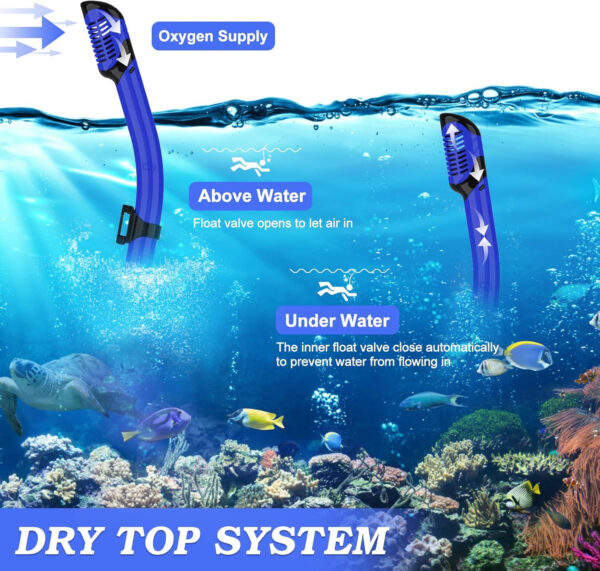 Snorkeling Gear for Adults, Dry Top Snorkel Mask Set 2 Pack Scuba Diving Mask Snorkel Gear Anti Fog Snorkeling Packages Tempered Glass Panoramic View Nose Cover