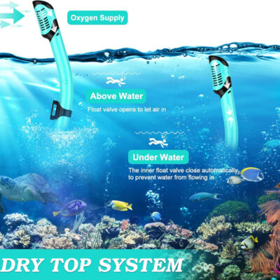 Snorkeling Gear for Adults, Dry Top Snorkel Mask Set 2 Pack Scuba Diving Mask Snorkel Gear Anti Fog Snorkeling Packages Tempered Glass Panoramic View Nose Cover