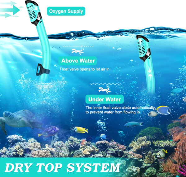 Snorkeling Gear for Adults, Dry Top Snorkel Mask Set 2 Pack Scuba Diving Mask Snorkel Gear Anti Fog Snorkeling Packages Tempered Glass Panoramic View Nose Cover