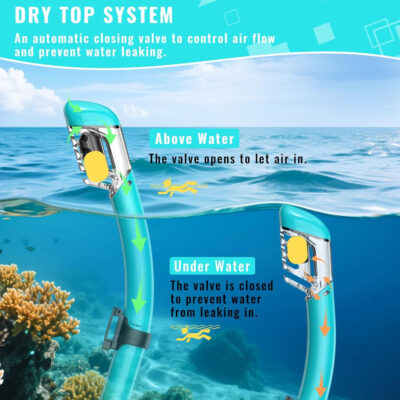 Snorkeling Gear for Adults, Snorkel Set Scuba Diving mask Dry-Top, Adult Swimming Goggles w/Nose Cover, HD Tempered Glass Panoramic Anti-Leak Anti-Fog, Travel Snorkeling Packages