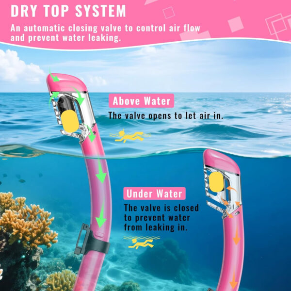 Snorkeling Gear for Adults, Snorkel Set Scuba Diving mask Dry-Top, Adult Swimming Goggles w/Nose Cover, HD Tempered Glass Panoramic Anti-Leak Anti-Fog, Travel Snorkeling Packages