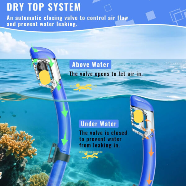 Snorkeling Gear for Adults, Snorkel Set Scuba Diving mask Dry-Top, Adult Swimming Goggles w/Nose Cover, HD Tempered Glass Panoramic Anti-Leak Anti-Fog, Travel Snorkeling Packages