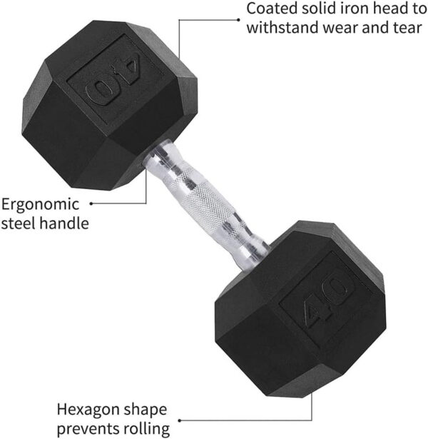 689c6e5e7674bc10ae1b5263eae8377355f5d504cb49bad0ce349.jpg Saorzon Dumbbells Set of 2 Exercise Fitness Dumbbell for Home Gym Free Weights Hand Hex Dumb Bells