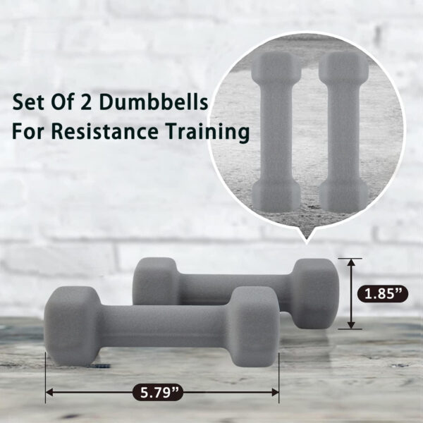 689c6e7a2ee360e58a79700cc232c4e0ffb8d4429ec6856b28ab9.jpg Saorzon Dumbbells Set of 2 Exercise Fitness Dumbbell for Home Gym Free Weights Hand Hex Dumb Bells