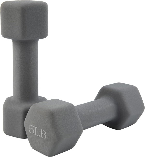 689c6e818a8f77a8f7f7768e628950acbb018a12d6dc3060ea65d.jpg Saorzon Dumbbells Set of 2 Exercise Fitness Dumbbell for Home Gym Free Weights Hand Hex Dumb Bells